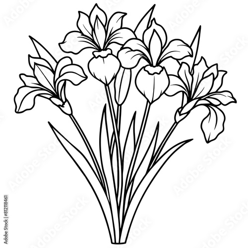 Iris flower outline coloring book page line art drawing vector illustration for children and adults