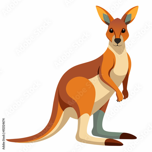 kangaroo vector design 