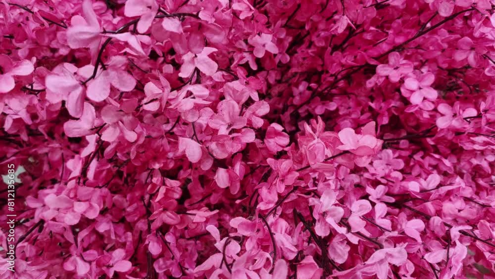 Beautiful pink flowers background. Pink flowers wall. Artificial flowers. Beautiful pink flowers background. Pink flowers wall. Artificial flowers.