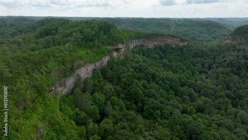 aerial drone view over kentucky forest