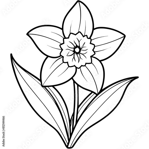 Daffodil flower outline coloring book page line art drawing vector illustration for children and adults