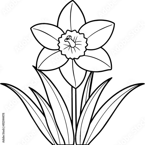 Daffodil flower outline coloring book page line art drawing vector illustration for children and adults