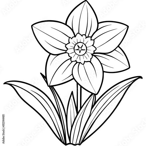 Daffodil flower outline coloring book page line art drawing vector illustration for children and adults