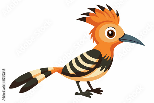hoopoe bird cartoon vector illustration