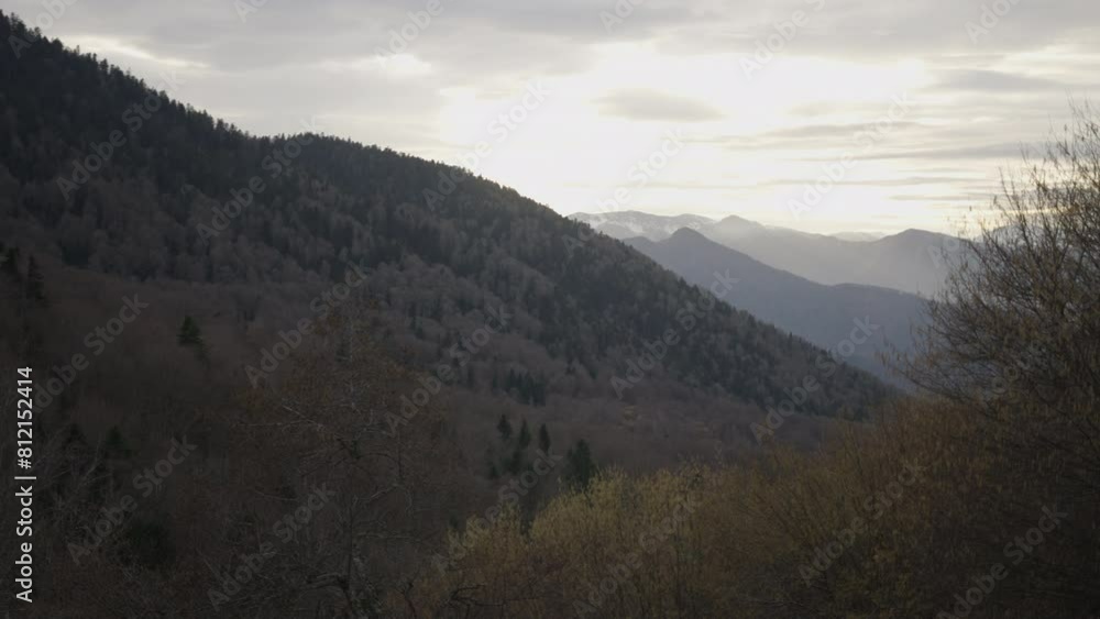 panoramic of the snow-capped mountains and the forest in the middle of nature on a cloudy day at sunset in autumn panoramic of the snow-capped mountains and the forest in the middle of nature on a cloudy day at sunset in autumn
