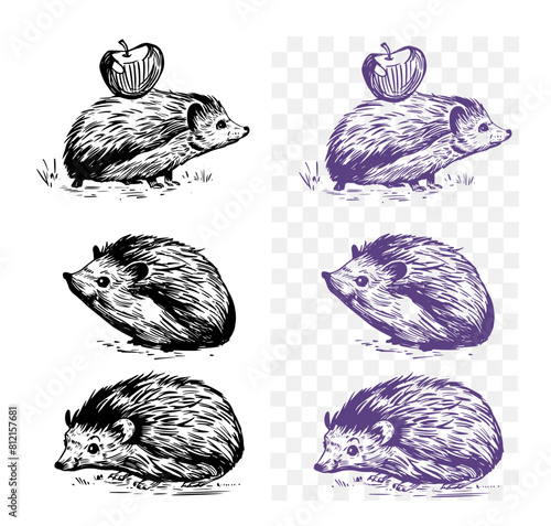 Hedgehog, sketch, engraving style. Hand drawn set, vector illustration, black outline