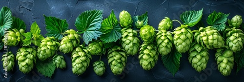 A close-up of hop cones on a branch against a botanical background.