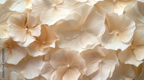 A closeup of delicate petals in shades of cream and beige