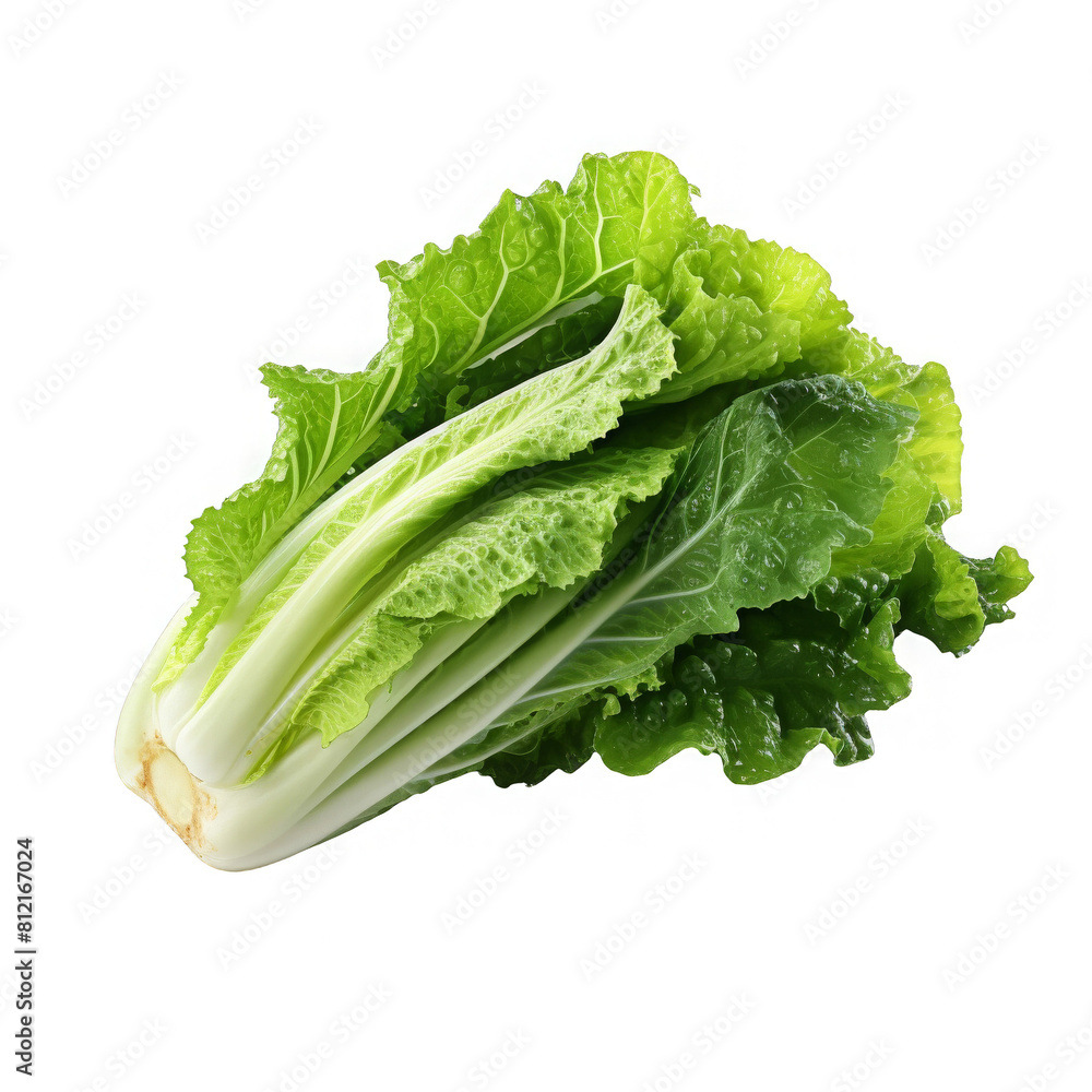 A fresh green cabbage isolated on a transparent background A fresh green cabbage isolated on a transparent background