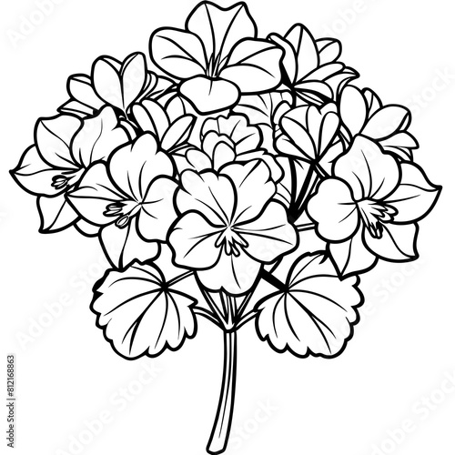 Geranium flower outline coloring book page line art drawing vector illustration for children and adults