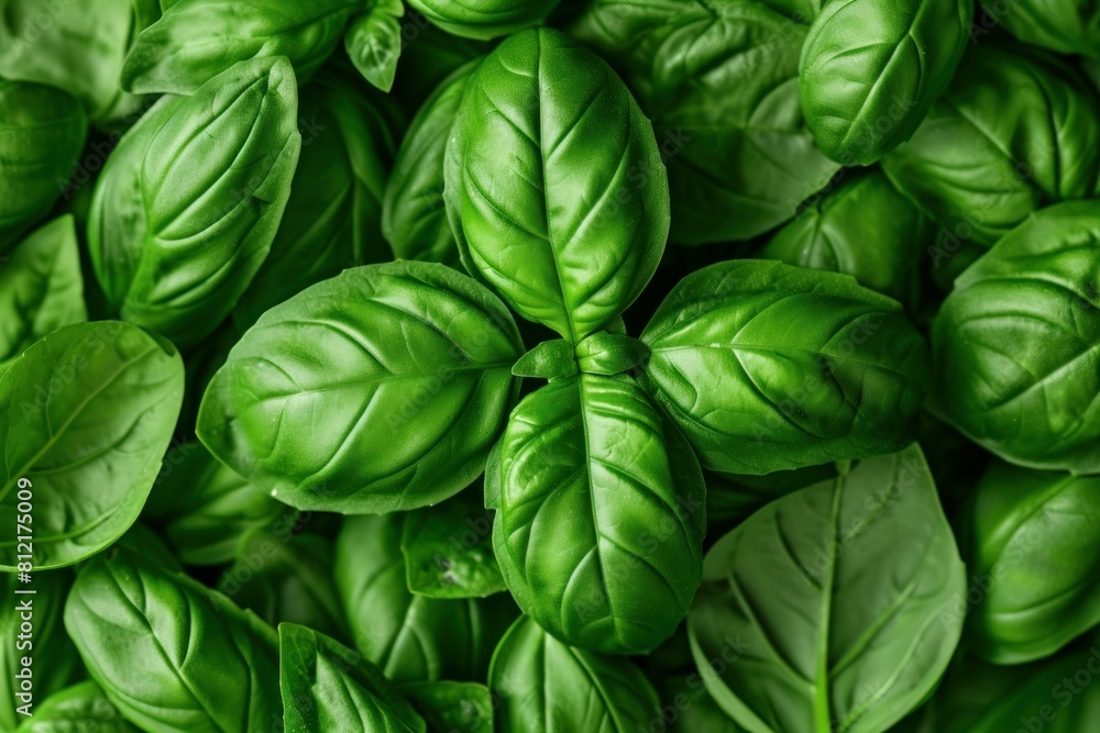 Cool Basil leaves background. Salad macro. Generate Ai Cool Basil leaves background. Salad macro. Generate Ai
