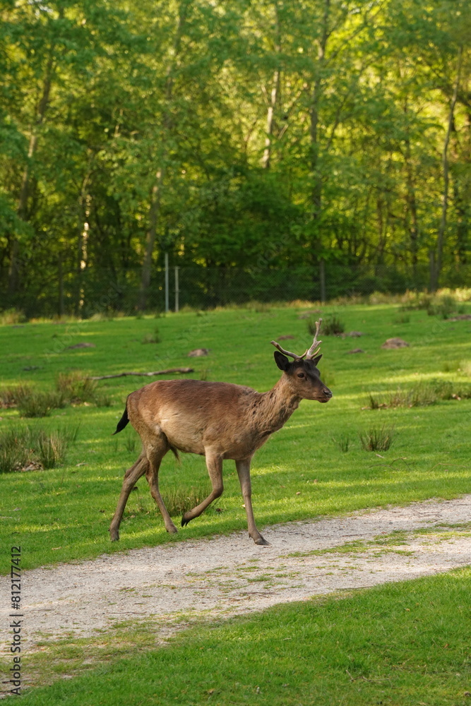 Vibrant and tranquil nature in Denmark Vibrant and tranquil nature in Denmark