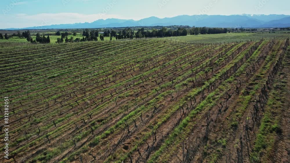 Aerial View of Field With Trees and Mountains in Corsica, France Aerial View of Field With Trees and Mountains in Corsica, France