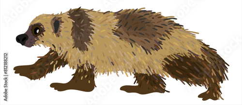 Wolverine animal. Vector isolated illustration