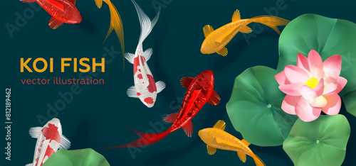 Koi fish of different colors in a pond with lotuses on a dark background. Banner in 3D style. Brocade carps are decorative fish. Vector illustration
