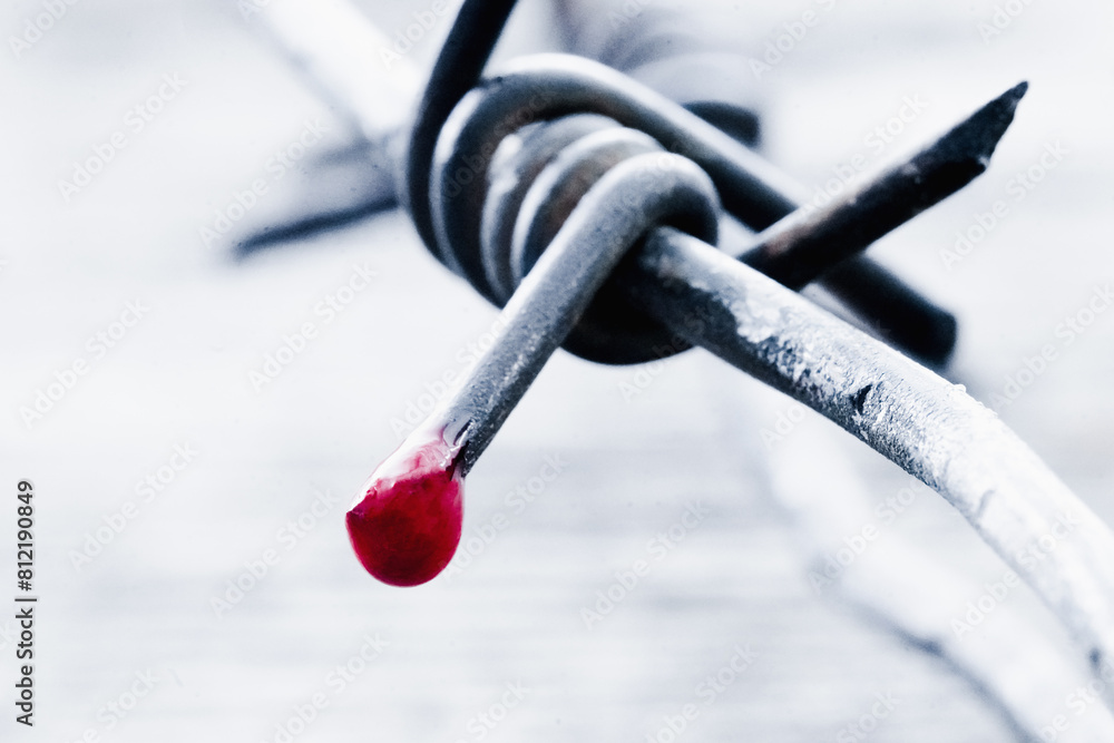 Φωτογραφία Drop of blood on barbed wire as symbol of dictatorship, totalitarian regime, dictatorship, total controls the peoples