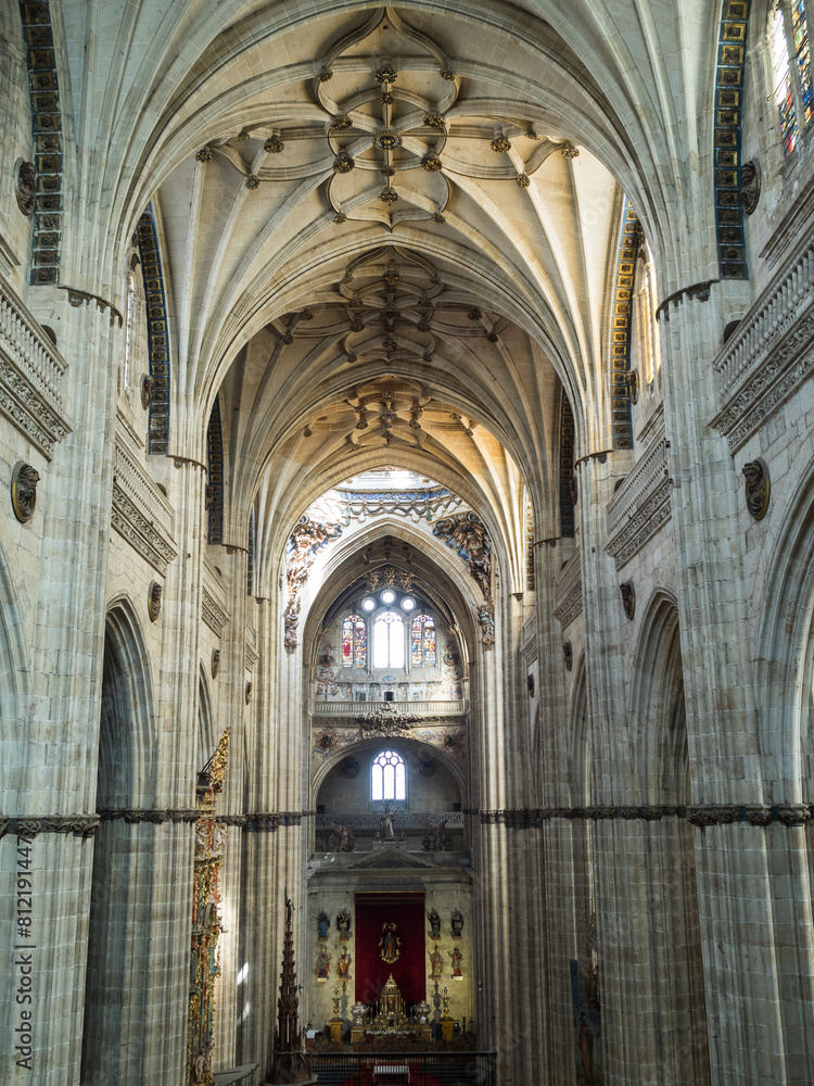 Salamanca Cathedral main nave seen from above Salamanca Cathedral main nave seen from above