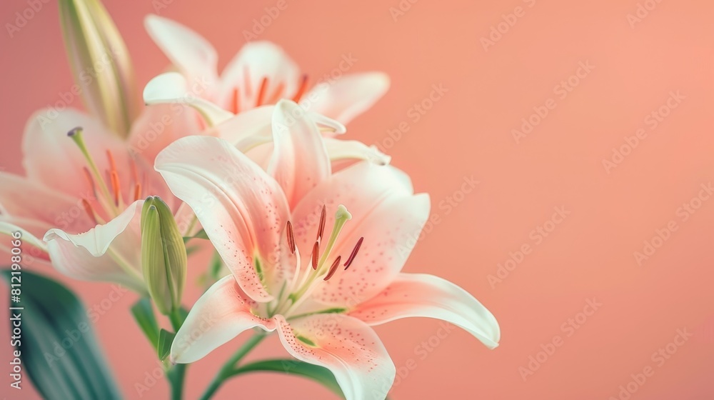 A painting of a bouquet of white lilies with a blue background