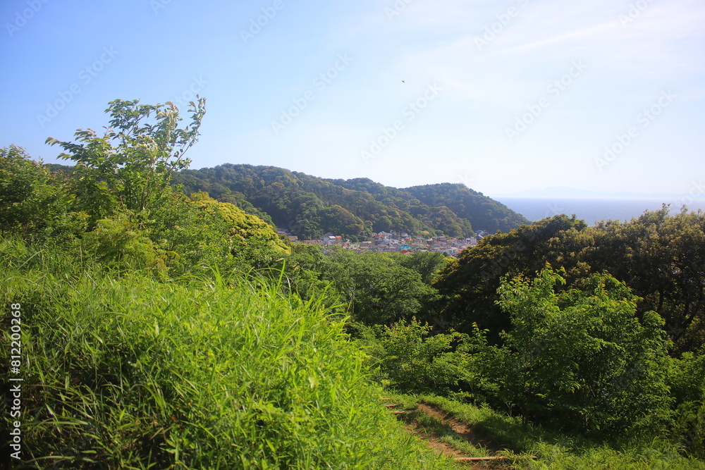 仙元山 仙元山