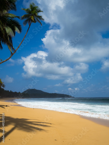 Obraz na płótnie Male Beach in south São Tomé w salonie