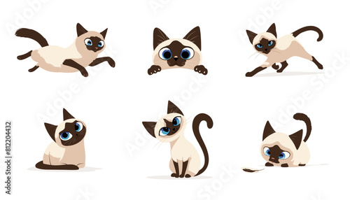 Set of Thai kittens, vector illustration
