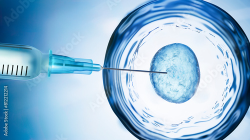 ilustration of a syringe piercing an egg during the in vitro fertilization process - fertility and in vitro fertilization concept photo