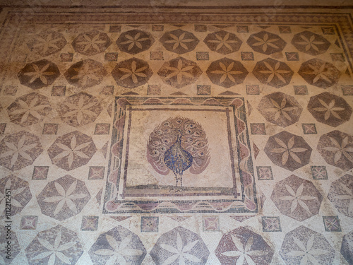 Peacock mosaic from the House of Dionysus in Paphos Archeological Site photo