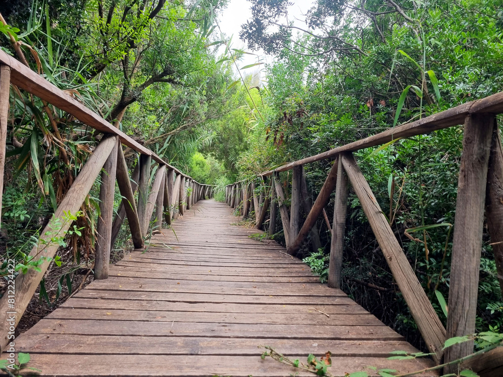 Wooden footpath, natural traveler concept Wooden footpath, natural traveler concept