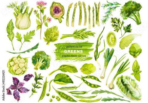 Watercolor painted collection of green vegetables. Hand drawn fresh food design elements isolated on transparent background.