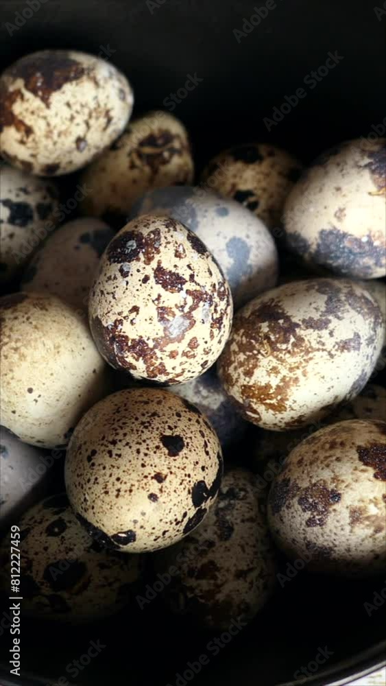 Overhead Shot Of Raw Quail Eggs On Black Plate, Close-up. Slider Dolly Shot. Vertical.