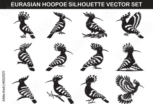 Eurasian Hoopoe Bird Silhouette Vector Illustration Set