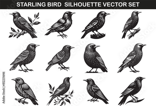 Starling Bird Silhouette Vector Illustration Set