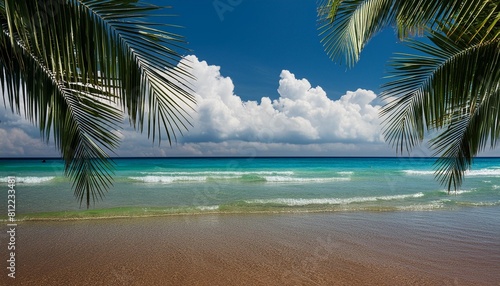 summer tropical sea and palm leaves