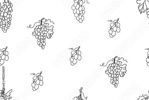 Seamless pattern of grape, bunch of grapes, grape vine and grape leaves. Vineyard. Winery. Vector illustration in doodle style. Hand drawn. Isolated on white background