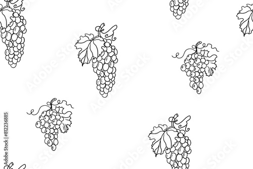 Cute seamless pattern of grape, bunch of grapes, grape vine and grape leaves. Vineyard. Winery. Vector illustration in doodle style. Hand drawn. Isolated on white background