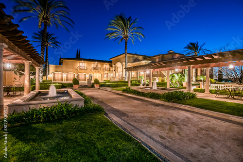 Courtyard With Fountain and Palm Trees