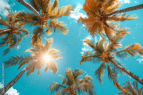 A vibrant tropical landscape with sun beams piercing through the foliage of tall palm trees against a clear sky