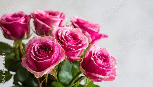 bouquet of pink roses on a white background selective focus