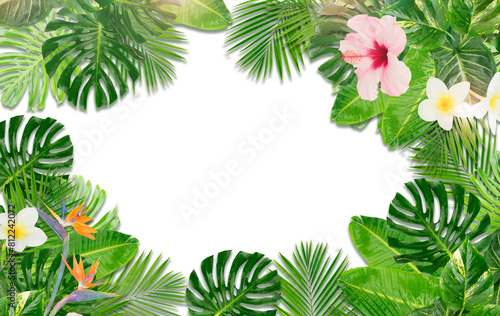 Tropical leaves and flowers over transparent background 