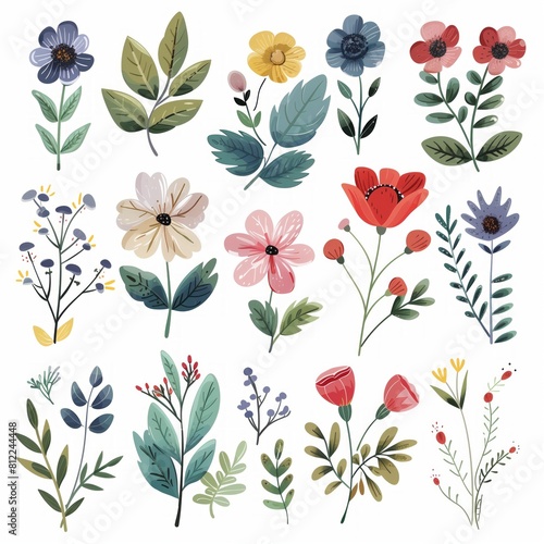Hand-Drawn Flower Collection with Vibrant Botanical Illustrations for Design