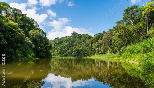 a wild pristine tropical landscape with a swampy lake and lush vegetation of an impenetrable jungle