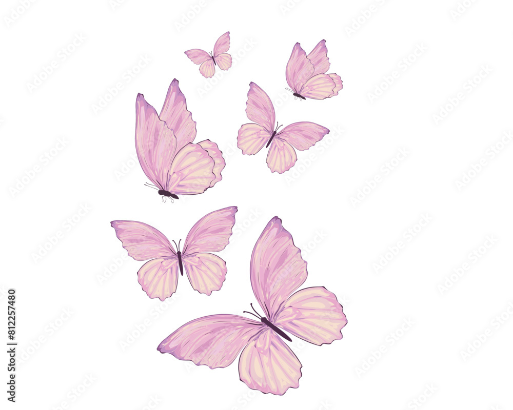 Black butterfly silhouettes. Outline butterflies romantic tattoo, tropical insects stencil. Summer and spring exotic symbols isolated vector set. Elegant wild flying moth of various shape Black butterfly silhouettes. Outline butterflies romantic tattoo, tropical insects stencil. Summer and spring exotic symbols isolated vector set. Elegant wild flying moth of various shape