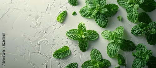 Vivid Peppermint Leaves on White Background for Culinary Usage