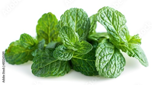Aromatic Thai Peppermint Leaves on White Background