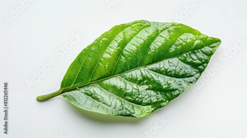 Vibrant Sweetleaf Leaves Isolated on Pristine White Background for Premium Product Presentation photo
