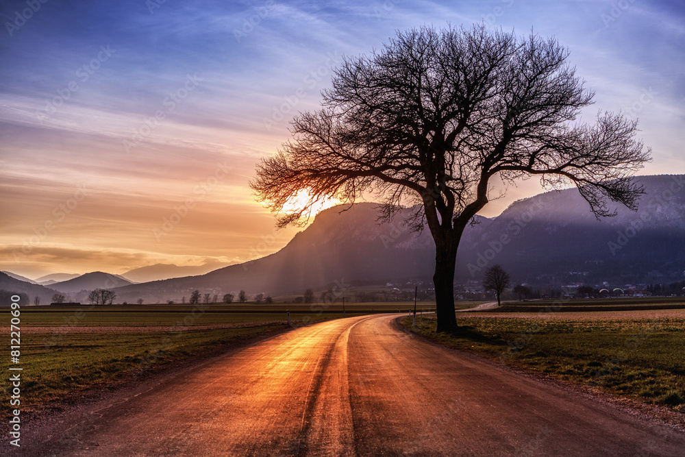 Sunset Drive by Hohe Wand, Solitary Tree on Country Road, Lower Austria Sunset Drive by Hohe Wand, Solitary Tree on Country Road, Lower Austria