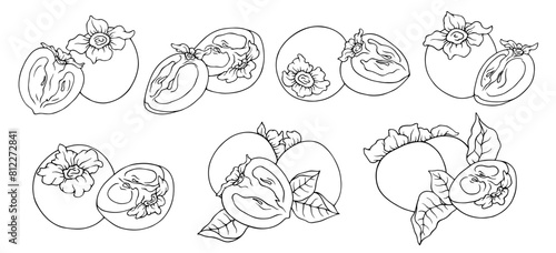 A set of linear sketches, contours of persimmons and pieces of fruit. Vector graphics.