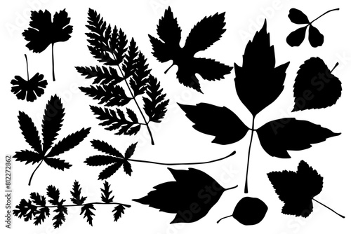 Set of silhouettes and stamps of various leaves.Vector graphics.