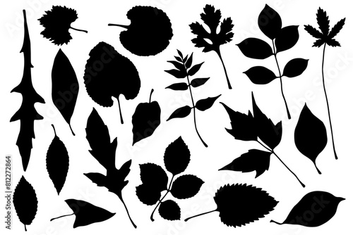 Set of silhouettes and stamps of various leaves.Vector graphics.