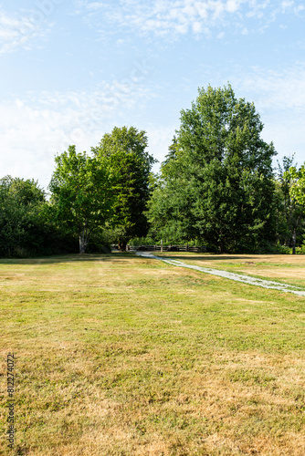 Landscape of a park with the dry grass meadow in sunny weather